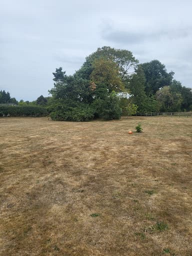 John Hollis - Mortgage Adviser — Customer photo